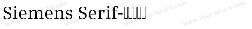 Siemens Serif字体转换